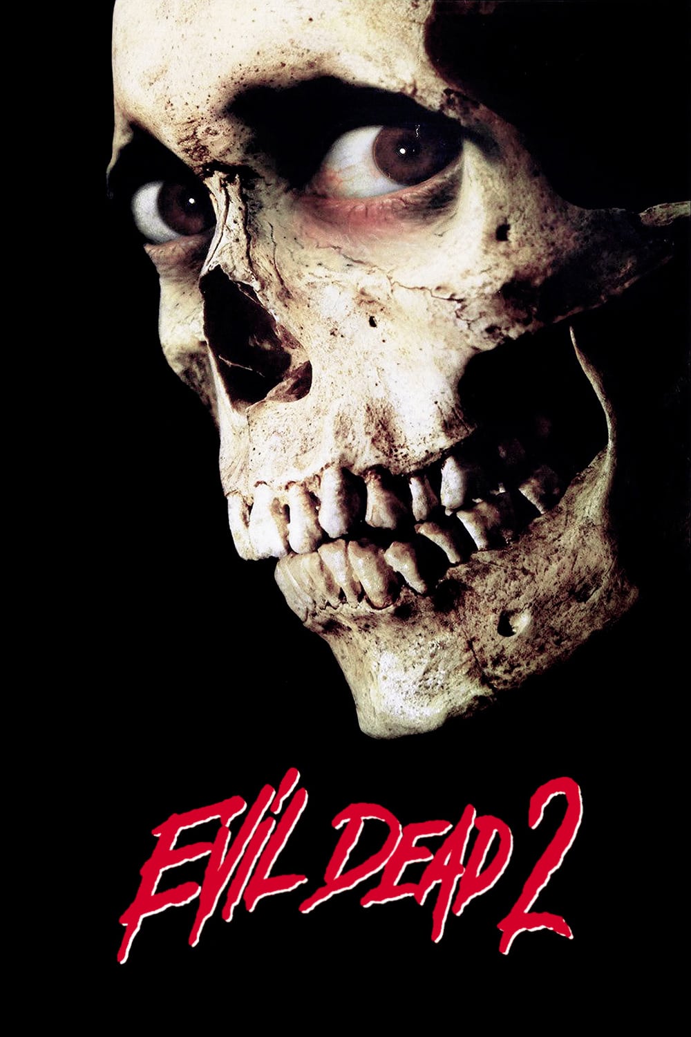 Evil Dead 2 (1987) Dual Audio Hindi-English 480p 720p Bluray