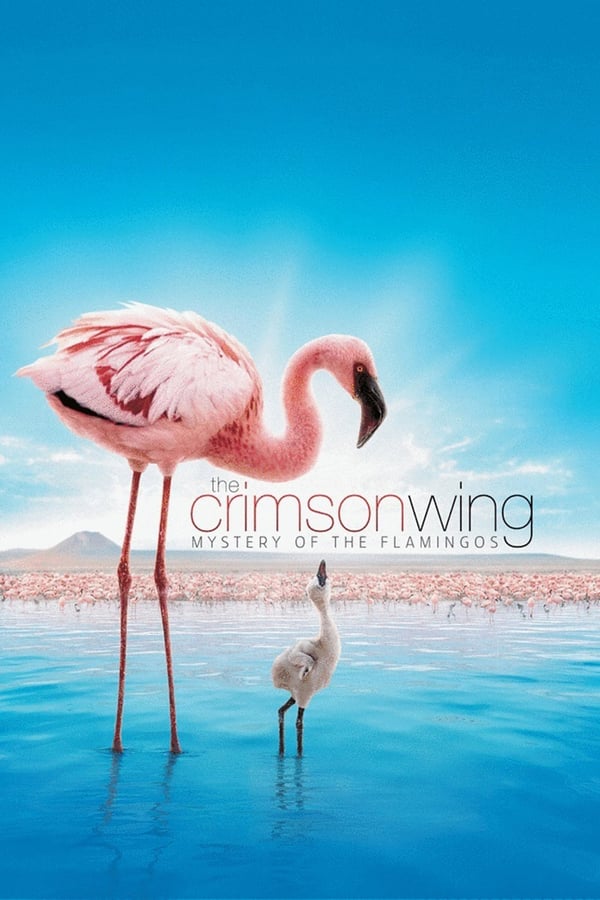 The Crimson Wing: Mystery of the Flamingos 2008 Dual Audio Hindi-English 720p