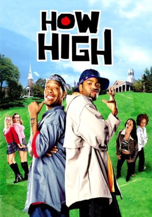 How High (2001) Hindi Dubbed Dual Audio Full Movie Google Drive