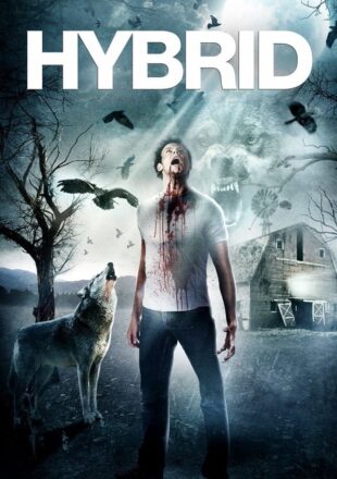 Hybrid (2007) Hindi Dubbed Dual Audio Full Movie 480p 720p Web-DL