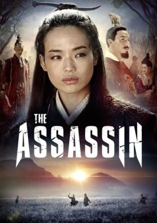 The Assassin (2015) Hindi Dubbed Dual Audio Full Movie Gdrive Link