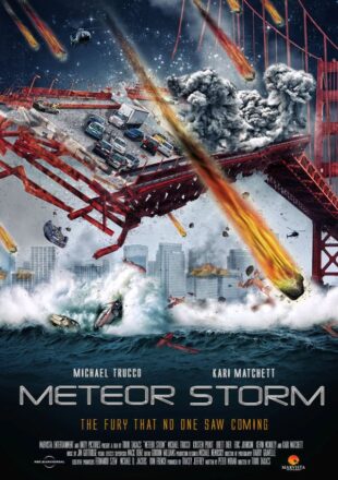 Meteor Storm 2010 Dual Audio Hindi-English Full Movie 480p 720p