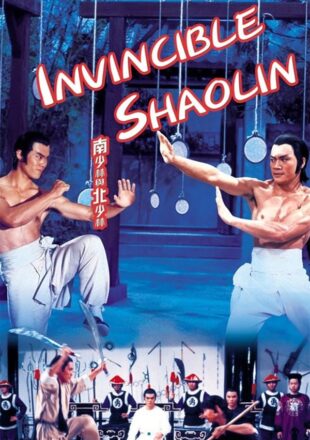 Invincible Shaolin 1978 Dual Audio Hindi-English 480p 720p Bluray