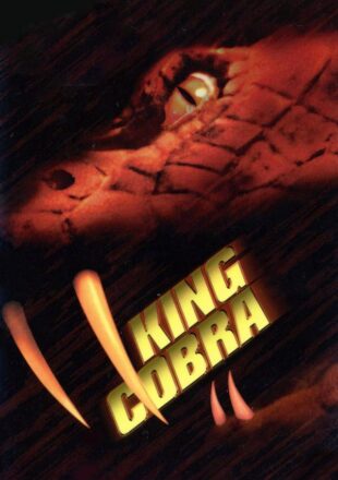 King Cobra 1999 Dual Audio Hindi-English 480p 720p Bluray Gdrive Link