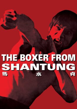 The Boxer from Shantung 1972 Dual Audio Hindi-English 480p 720p Bluray