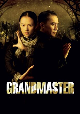 The Grandmaster 2013 Dual Audio Hindi-English 480p 720p 1080p Bluray