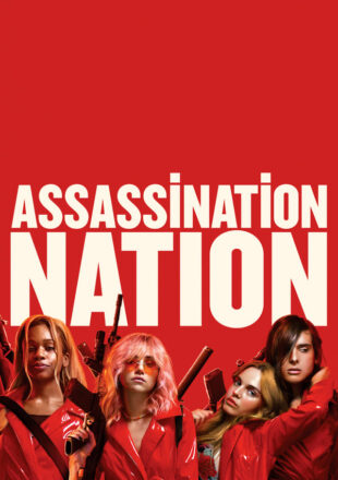 Assassination Nation 2018 Dual Audio Hindi-English 480p 720p Gdrive