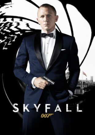 Skyfall 2012 Dual Audio Hindi-English 480p 720p 1080p Bluray Gdrive Link
