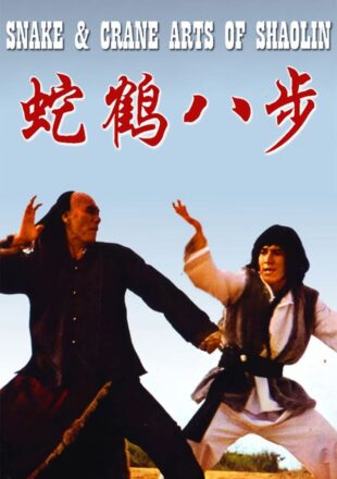 Snake and Crane Arts of Shaolin 1978 Dual Audio Hindi-English 480p 720p
