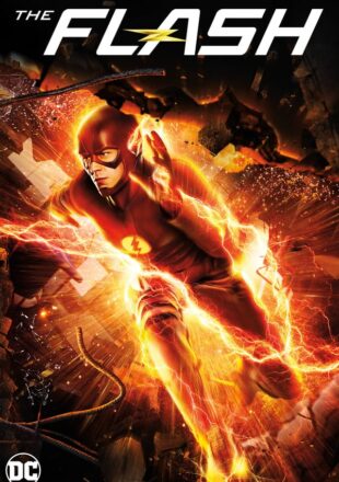 The Flash Season 1 Dual Audio Hindi-English 480p 720p All Episode