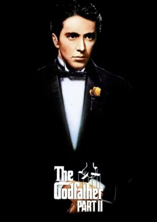 The Godfather: Part 2 1974 Dual Audio Hindi-English 480p 720p Gdrive