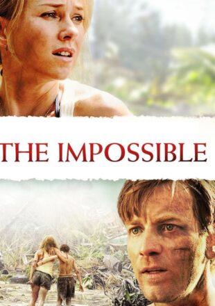 The Impossible 2012 Dual Audio Hindi-English 480p 720p 1080p Bluray