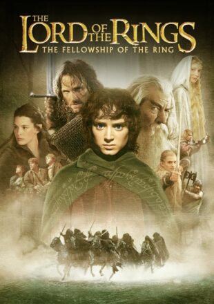 The Lord of the Rings: The Fellowship of the Ring 2001 Dual Audio Hindi