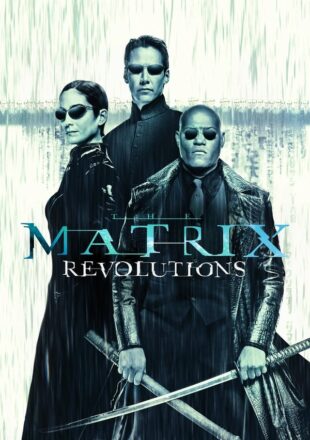 The Matrix Revolutions 2003 Dual Audio Hindi-English 480p 720p 1080p
