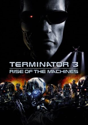 Terminator 3: Rise of the Machines 2003 Dual Audio Hindi-English Gdrive
