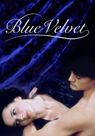Blue Velvet 1986 Dual Audio Hindi-English 480p 720p Gdrive Link