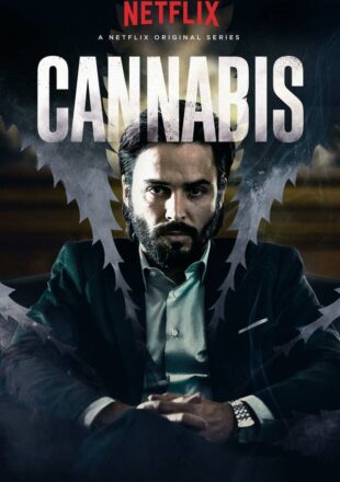 Cannabis Season 1 Hindi Dubbed 480p 720p Complete Episode