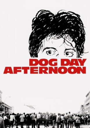 Dog Day Afternoon 1975 Dual Audio Hindi-English 480p 720p 1080p Gdrive Link