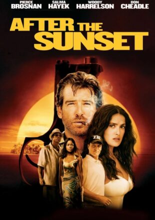 After the Sunset 2004 Dual Audio Hindi-English 480p 720p Gdrive Link