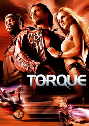 Torque 2004 Dual Audio Hindi-English 480p 720p 1080p Bluray Gdrive Link