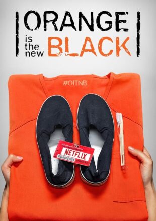 Orange Is the New Black Season 4 Dual Audio Hindi-English 480p 720p