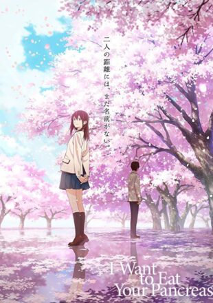 I want To Eat Your Pancrease 2017 Hindi Dubbed 720p