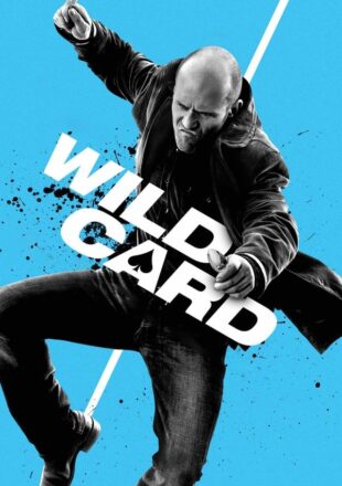 Wild Card 2015 Dual Audio Hindi-English 480p 720p 1080p