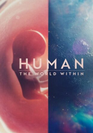 Human: The World Within Season 1 English 720p 1080p All Episode
