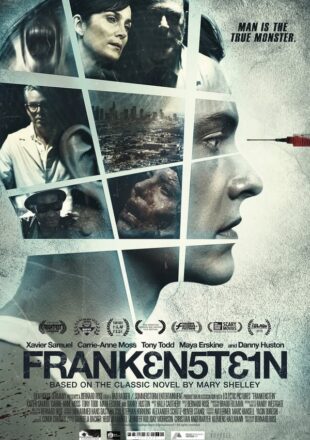 Frankenstein 2015 Dual Audio Hindi-English 480p 720p