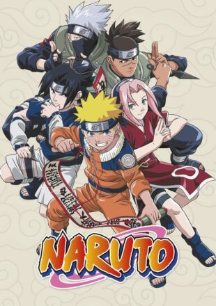 Naruto Season 1-9 Dual Audio Hindi Japanese All Episode