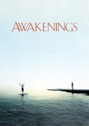 Awakenings 1990 Dual Audio Hindi-English 480p 720p 1080p
