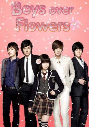 Boys Over Flowers Season 1 Hindi Dubbed 480p 720p 1080p
