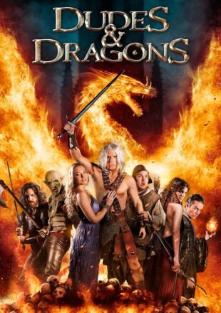 Dudes & Dragons 2015 Dual Audio Hindi-English 480p 720p