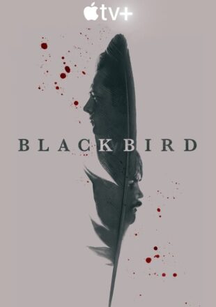 Black Bird Season 1 English 720p 1080p Complete Episode