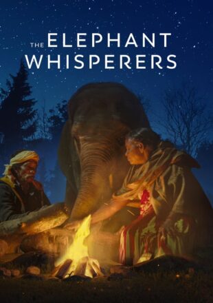 The Elephant Whisperers 2022 Dual Audio Hindi-English