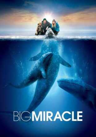 Big Miracle 2012 Dual Audio Hindi-English 480p 720p 1080p