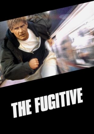 The Fugitive 1993 Dual Audio Hindi-English 480p 720p 1080p