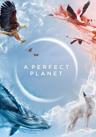 A Perfect Planet Season 1 Dual Audio Hindi-English 720p 1080p