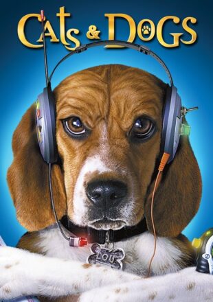 Cats & Dogs 2001 Dual Audio Hindi-English 480p 720p 1080p