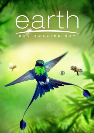 Earth: One Amazing Day 2017 Dual Audio Hindi-English 480p 720p 1080p