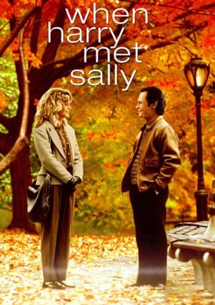 When Harry Met Sally 1989 Dual Audio Hindi-English 480p 720p 1080p