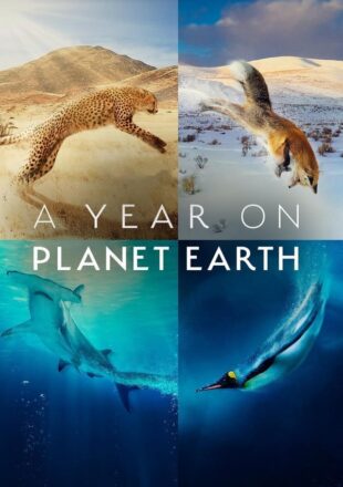 A Year on Planet Earth Season 1 English 720p 1080p All Episode