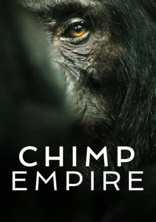 Chimp Empire Season 1 Dual Audio Hindi-English All episode