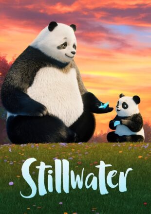 Stillwater Season 1-3 Dual Audio Hindi-English 720p 1080p