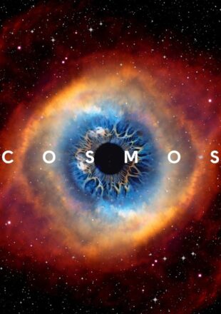 Cosmos A Spacetime Odyssey Season 1 Dual Audio Hindi-English 720p 1080p