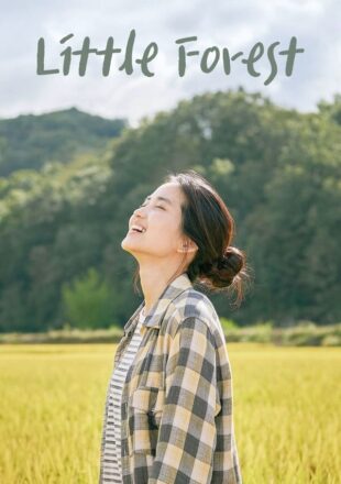 Little Forest 2018 Korean With English Subtitle 480p 720p 1080p