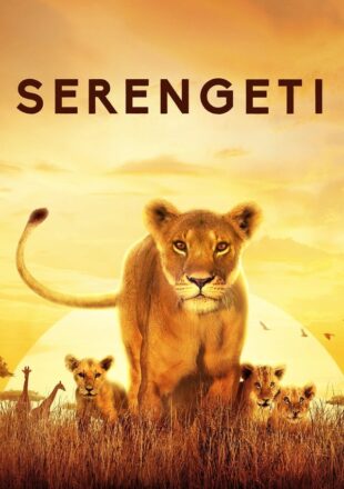 Serengeti Season 1 Dual Audio Hindi-English 720p 1080p