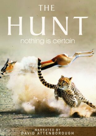 The Hunt Season 1 English 720p Complete Episode