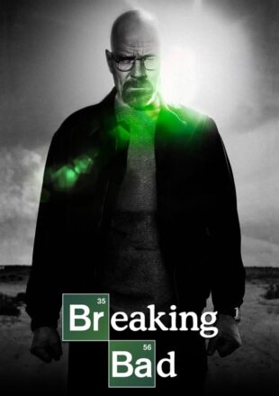 Breaking Bad Season 1-5 Dual Audio Hindi-English S05E09 Added