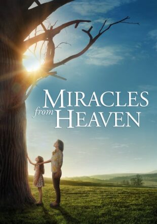 Miracles from Heaven 2016 Dual Audio Hindi-English 480p 720p 1080p